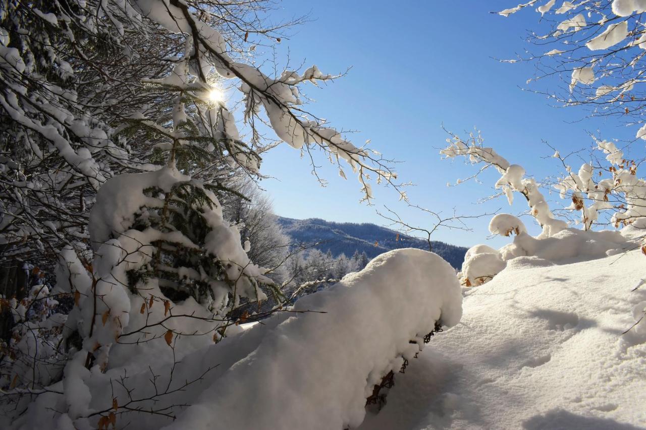 Agroturystyka Chmiel Villa Sromowce Wyzne Bagian luar foto