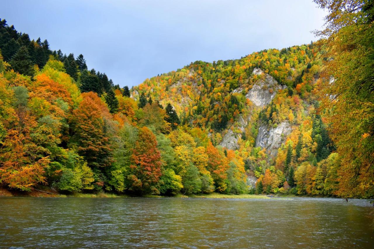 Agroturystyka Chmiel Sromowce Wyzne Bagian luar foto