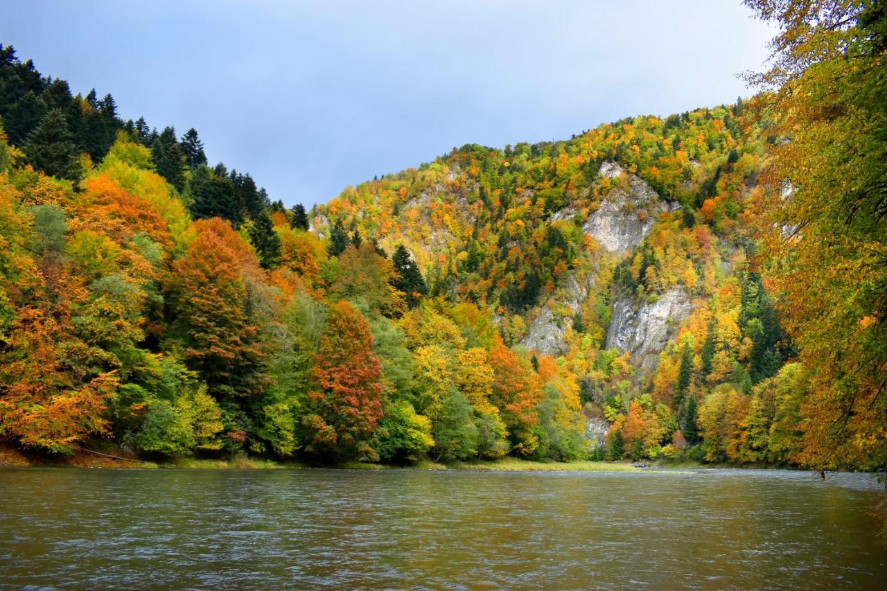 Agroturystyka Chmiel Villa Sromowce Wyzne Bagian luar foto