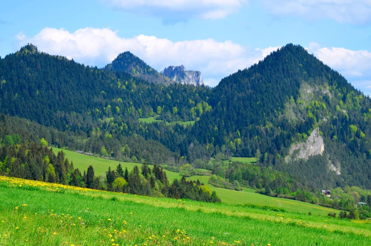 Agroturystyka Chmiel Sromowce Wyzne Bagian luar foto