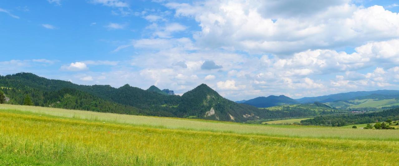 Agroturystyka Chmiel Villa Sromowce Wyzne Bagian luar foto