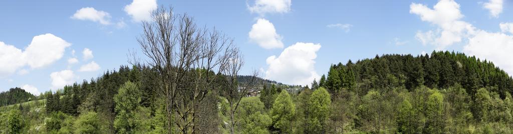 Agroturystyka Chmiel Villa Sromowce Wyzne Bagian luar foto